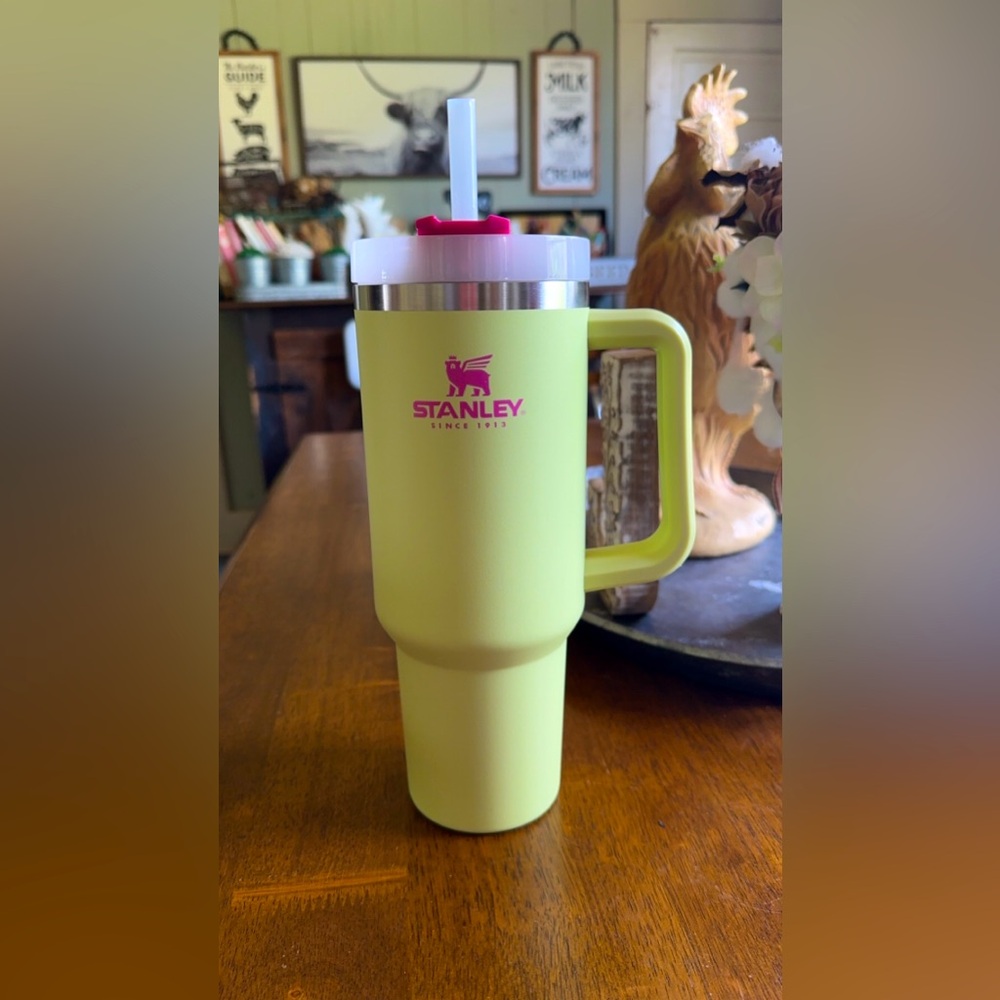 OG Citron Mix Stanley 40oz tumbler 💕💚